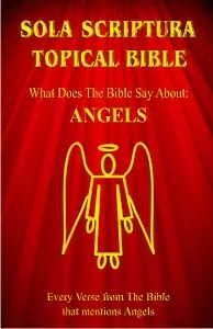 The cover of the "Sola Scriptura Topical Bible - What Does The Bible Say About Angels?"