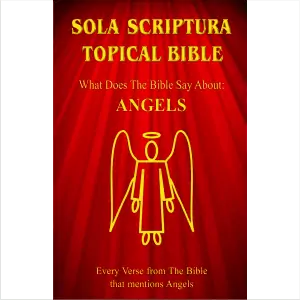 The cover of the "Sola Scriptura Topical Bible - What Does The Bible Say About Angels?"