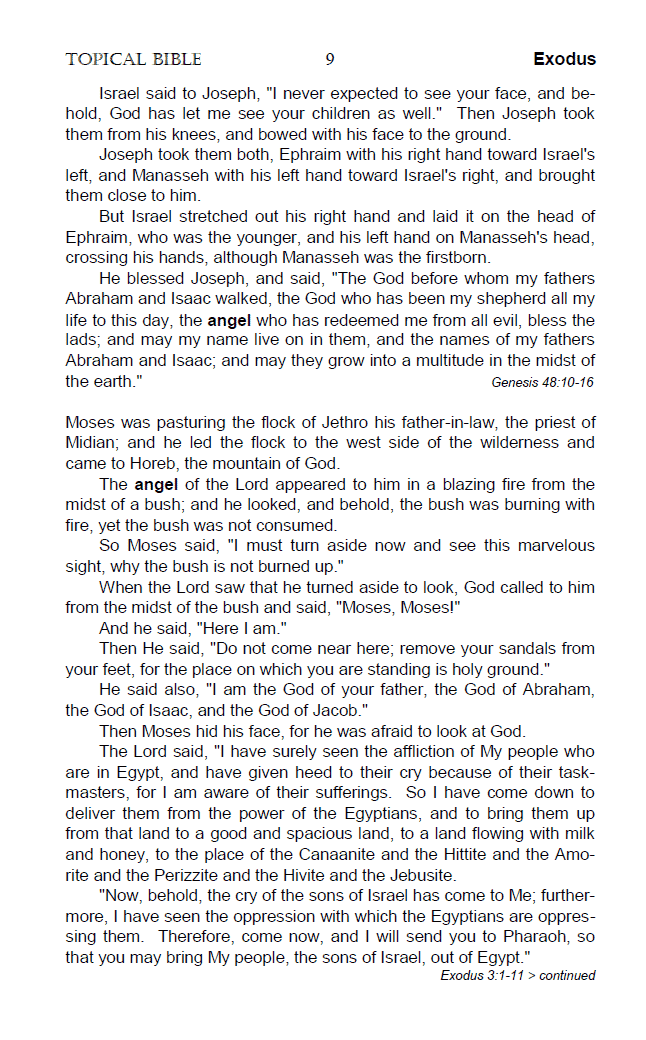The Angel Chapter from the "Sola Scriptura Topical Bible - Top 20 Spiritual Symbols".