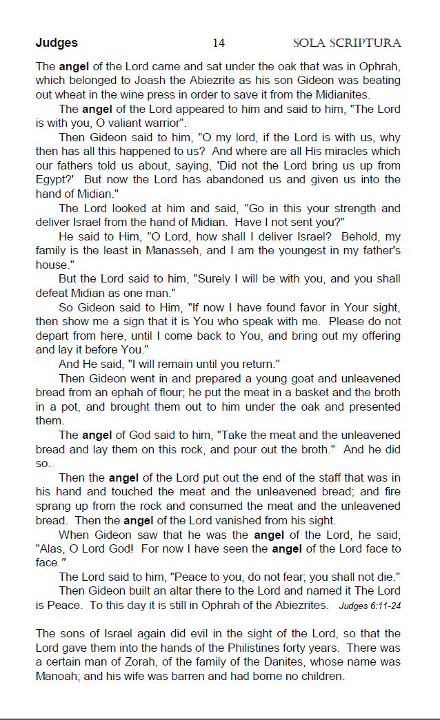 The Angel Chapter from the "Sola Scriptura Topical Bible - Top 20 Spiritual Symbols".
