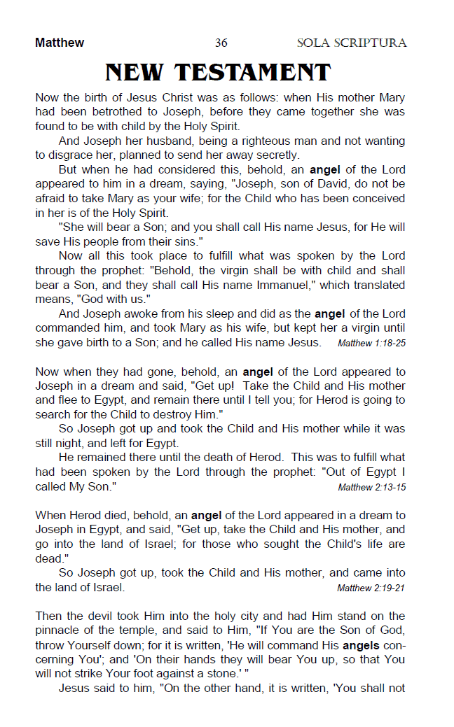 The Angel Chapter from the "Sola Scriptura Topical Bible - Top 20 Spiritual Symbols".