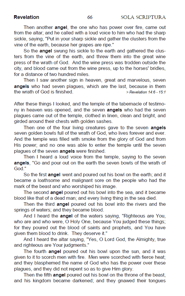 The Angel Chapter from the "Sola Scriptura Topical Bible - Top 20 Spiritual Symbols".