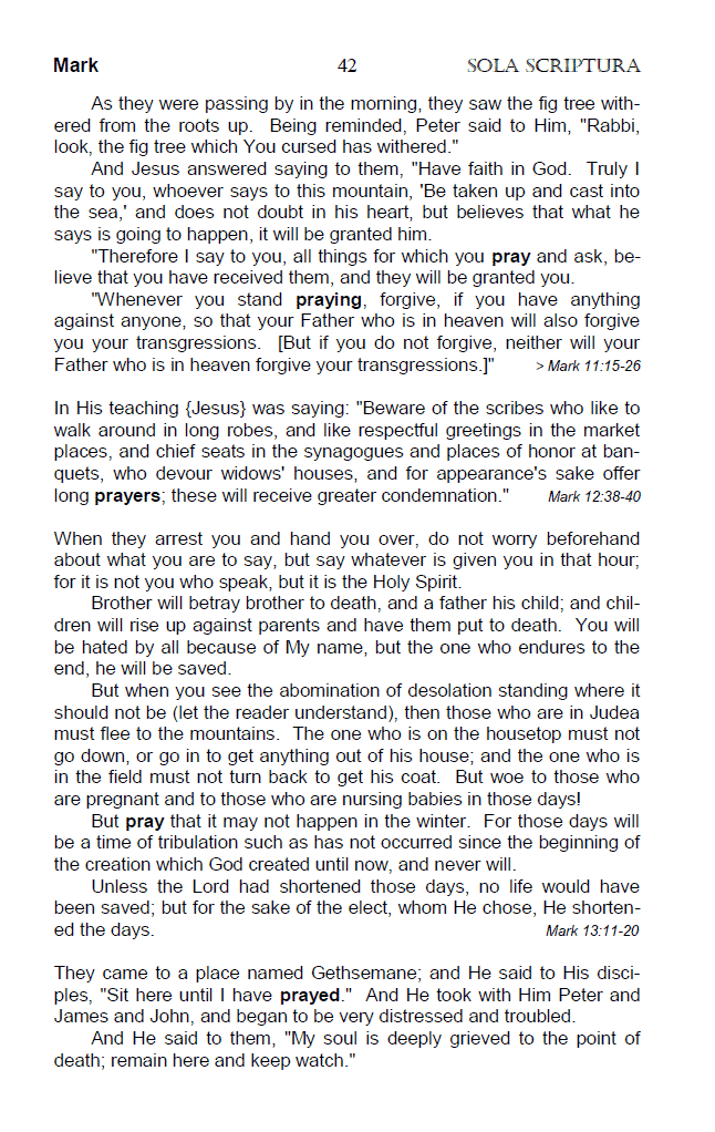 The Pray Chapter from the "Sola Scriptura Topical Bible - Top 20 Spiritual Symbols".